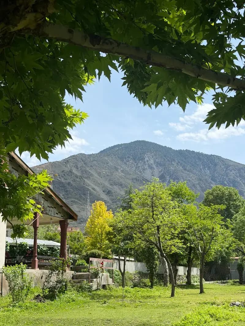 Lush greenery and mountains under a clear sky in Kalash Valley, Pakistan