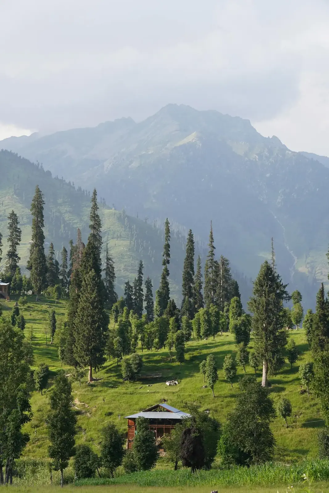 Beautiful mountainous landscape in Arang Kel with lush greenery and cottages
