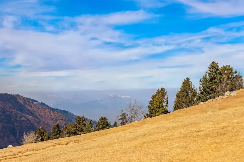 Nathia Gali's rolling hills and majestic trees under a blue sky